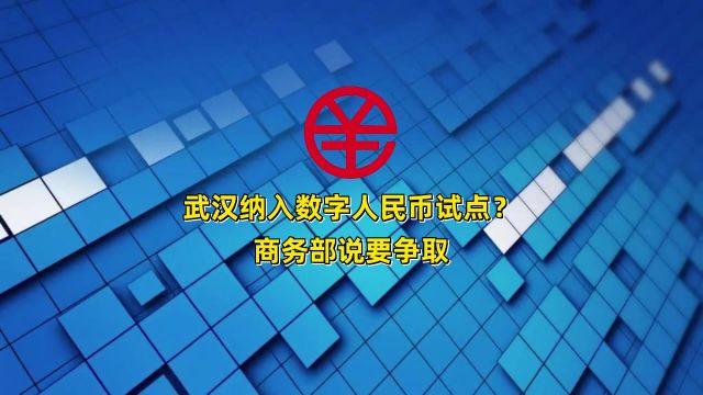 数字人民币试点城市发了4批都没有武汉,下一次总该有吧?