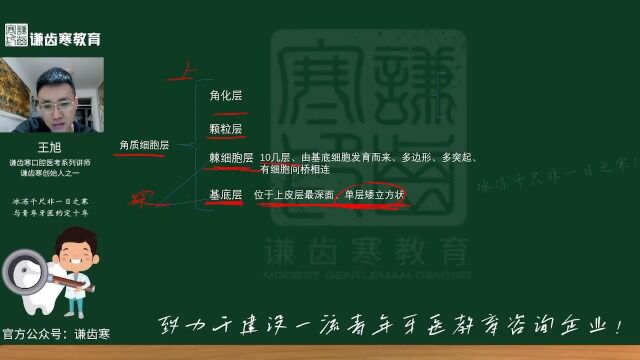 谦齿寒2023黏口腔执业含助理医师——口腔组织病理学