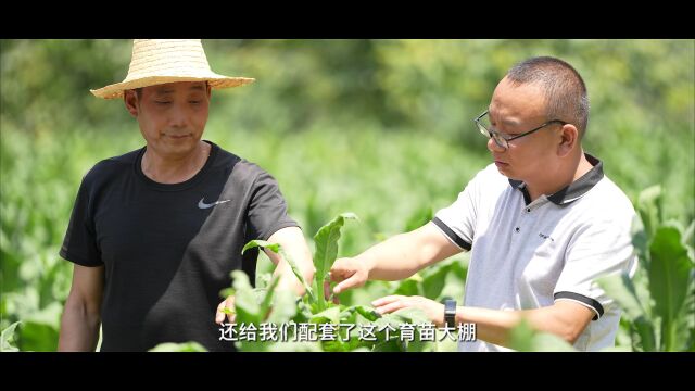 大山深处有我家