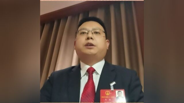 省人大代表、罗田县县长周黎:抓好“一棵树”“一只羊”“一株草”“一粒种”“一根线”工程