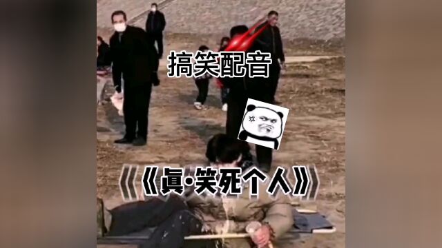 爆笑配音视频