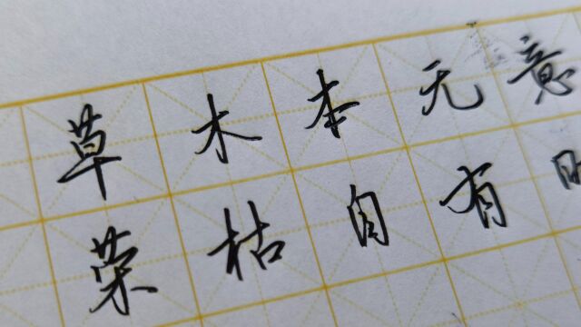 【手写】草木本无意,荣枯自有时.