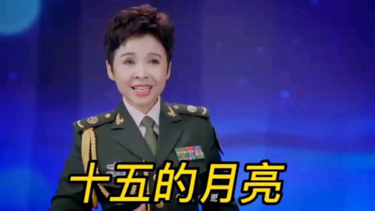 《十五的月亮》董文华演唱