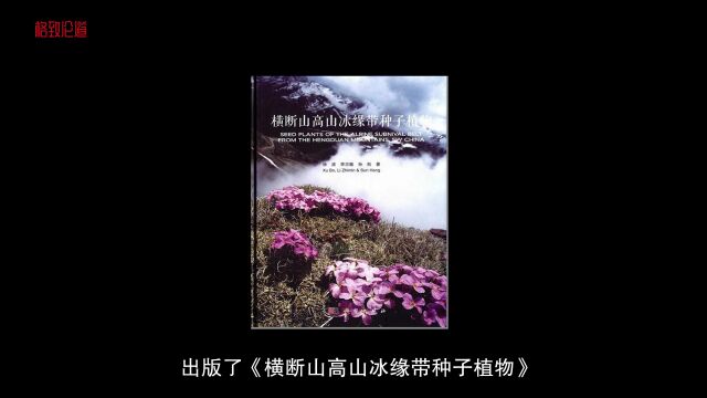 这是我的老朋友,在海拔4600米的流石滩上,它可能已经孤独生活了几百年 | 徐波