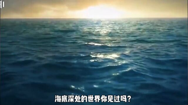 海底深处是一个什么样的世界