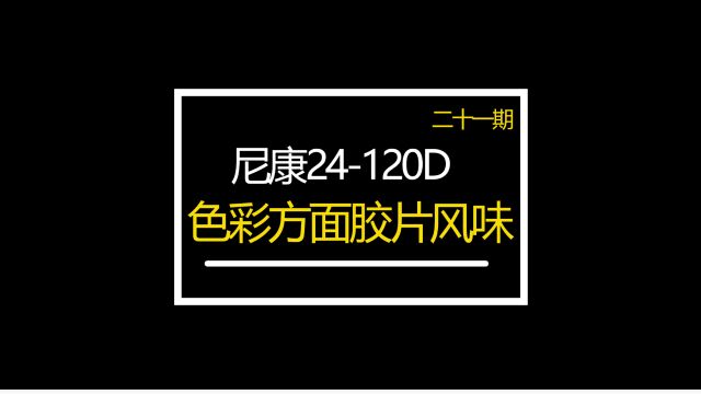 尼康24120D