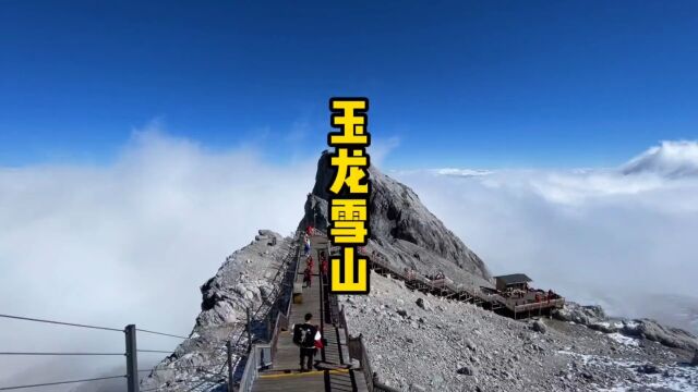 如果你想去玉龙雪山旅行,那么这份攻略收藏好,放假了拉上你们的小伙伴儿一起去