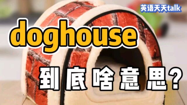 老外说你“in the doghouse”,英语翻译成“在狗窝里”,就真的闹笑话了