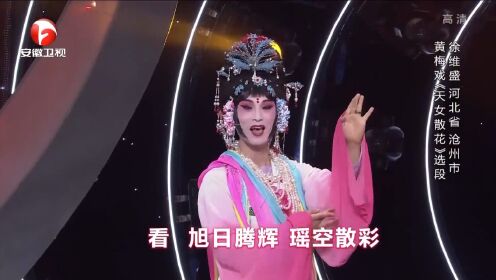 黄梅戏《天女散花》选段，徐维盛嗓音温柔，清脆悦耳丨花戏楼