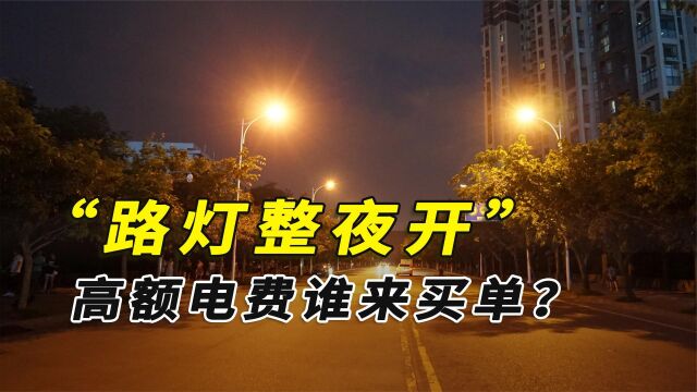 中国路灯整夜整夜的开,高额的电费谁来买单?答案让人意外