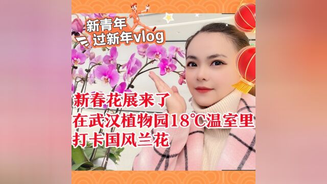 新青年过新年vlog | 新春花展来了,在18℃里打卡国风兰花,富贵牡丹