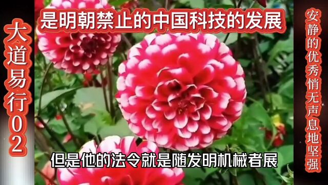 2.11明朝是对还是错?科技已经置人于死地了