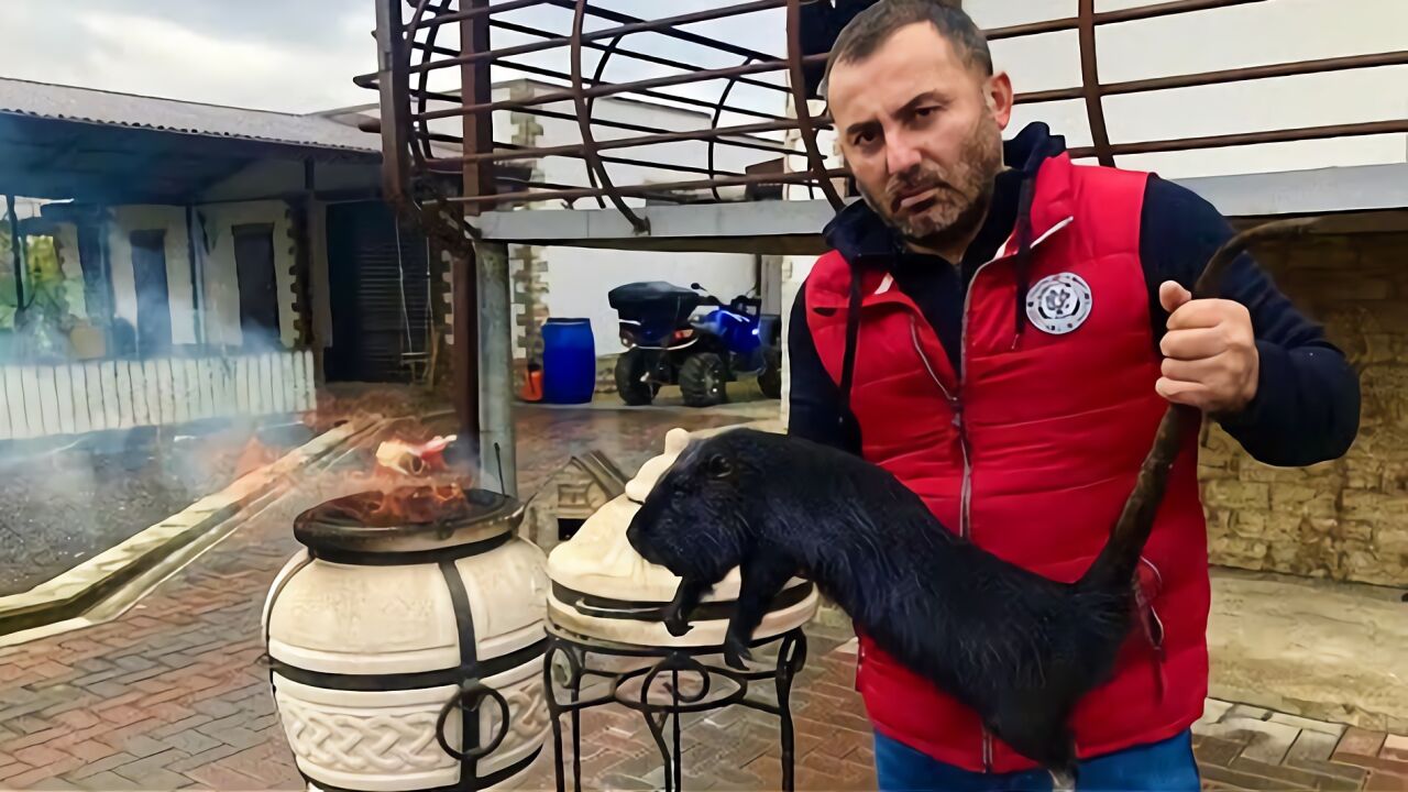 被称为海龙肉的海狸鼠,看俄罗斯大厨如何用独特的手法烹制