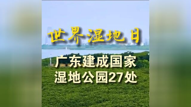 世界湿地日!绿美广东已建成国家湿地公园27处