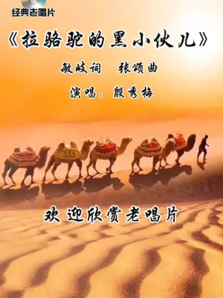 拉骆驼的黑小伙儿#怀旧经典#殷秀梅经典歌曲