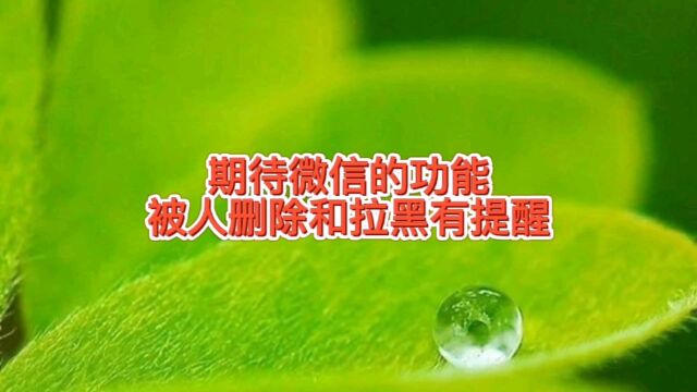 微信拒绝视频通话可快捷发信息,期待被人删除和拉黑有提醒的功能