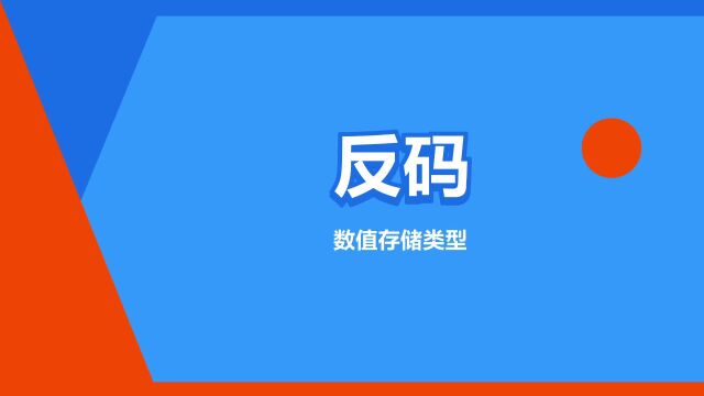 “反码”是什么意思?