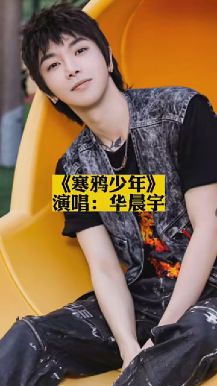 《寒鸦少年》华晨宇 #音乐