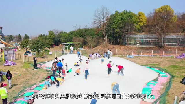 到咸宁看国宝、过大年,这场惊喜满满的缤纷之旅,想和你一起来