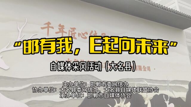 网络采风系列活动走进大名县京府黑芝麻小磨香油有限公司