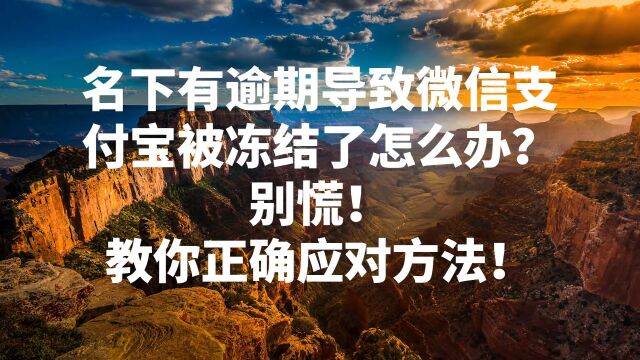 名下逾期导致微信支付宝被冻结了怎么办?别慌教你正确应对方法!