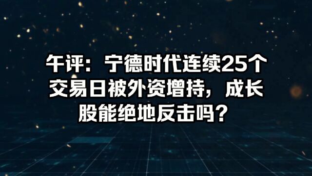 午评:宁德时代连续25个交易日被外资增持,成长股能绝地反击吗?