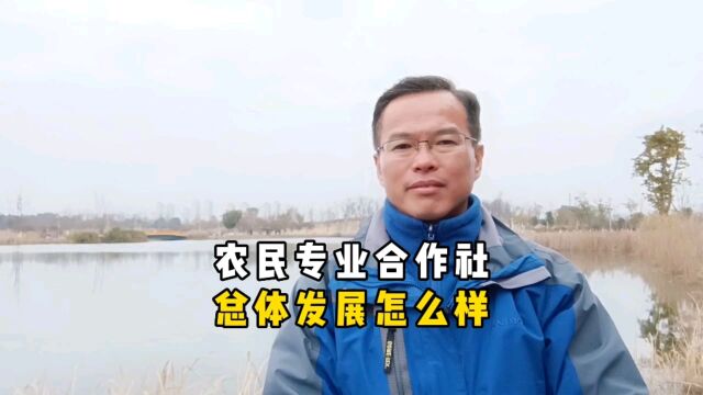 农民专业合作社,总体发展怎么样?