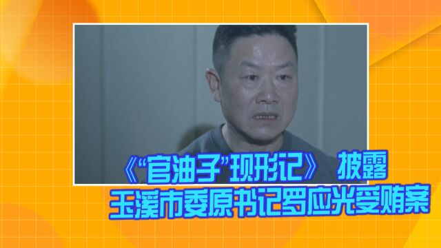 《“官油子”现形记》 披露玉溪市委原书记罗应光受贿案