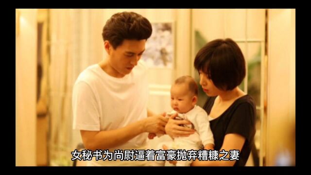 女秘书为了嫁入豪门,把董事长儿子寄宿到学校,遭受了婆婆的辱骂