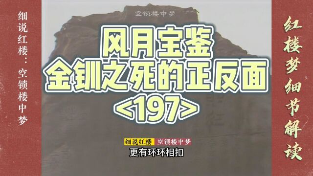 红楼梦:金钏之死的正反面(197)