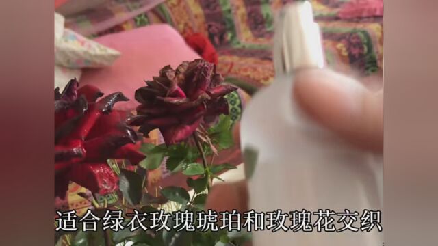 #诗芒香水