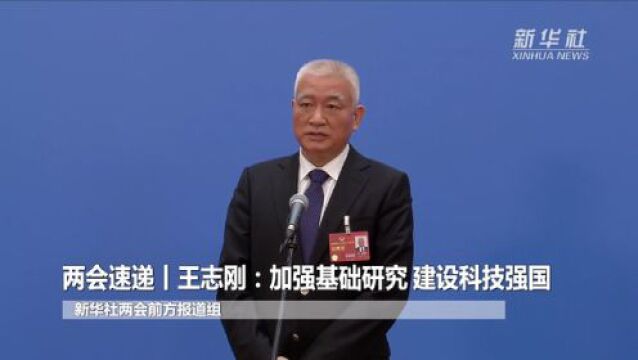 两会速递丨王志刚:加强基础研究 建设科技强国