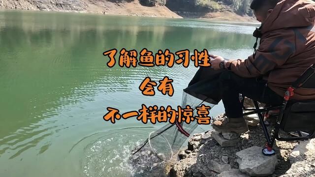 在海拔800米的山塘水库探钓,了解鱼的习性就有不一样的惊喜#钓鱼 #野钓 #户外