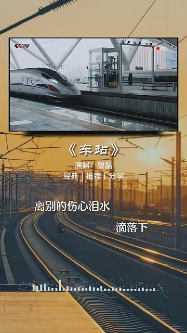 车站 #经典歌曲 #伤感音乐 #伤感歌曲