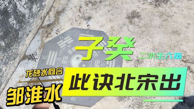 邹淮水寻龙!子癸合局古文写,出自北宋早有断,子癸二水生六指,囤聚凝澄发富真,水迎再得砂高拱,离龙入结近君门,阳龙坤离阴巽兑,定主双生非虚...