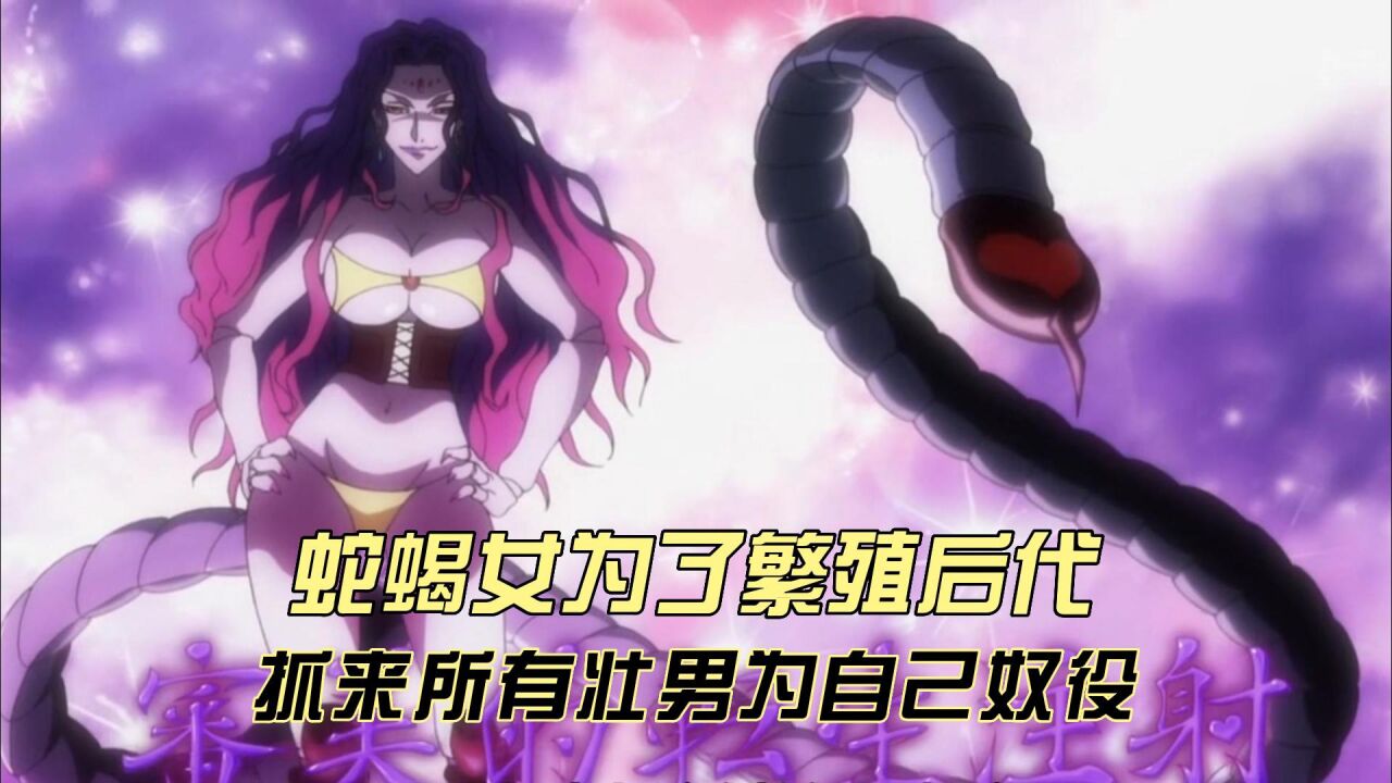 幻影旅团重出江湖,团员大战蝎子女王