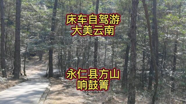 诸葛亮的军事才能和聪明智慧令人由衷的敬佩