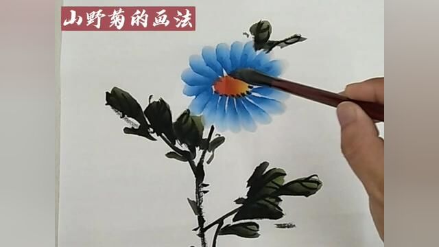 简简单单画野菊花,赶快一起试试吧! #国画教程 #国画教学 #写意花鸟 #写意画 #国画花鸟 #写意国画 #花鸟画 #花鸟