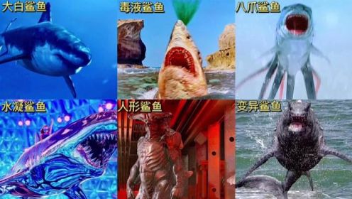影视里的六版鲨鱼，你觉得哪个最奇葩？变异的人形鲨好凶猛#海洋动物 #大鲨鱼 #保护海洋 #史前巨兽