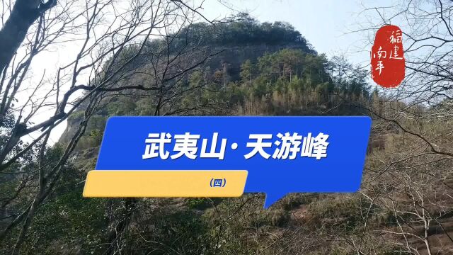 天游峰中沿胡麻涧一带,是为下天游.武夷山ⷮŠ天游峰(四)