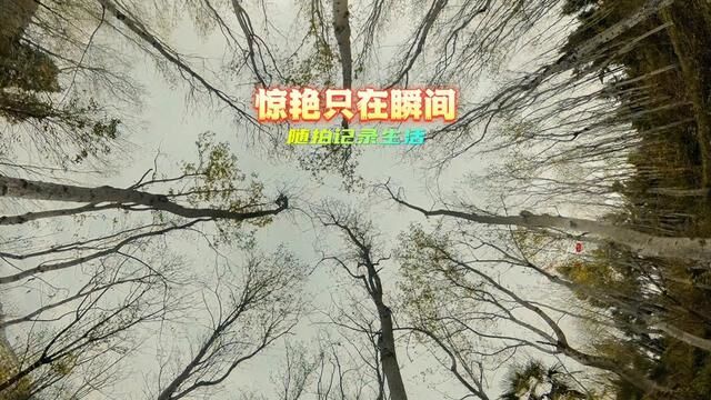 遇见风景发现景色,想怎么拍就怎么拍,相机玩法不一样的景色…… #我为家乡代言 #身边的风景 #随拍记录生活 #蚂蚁航拍