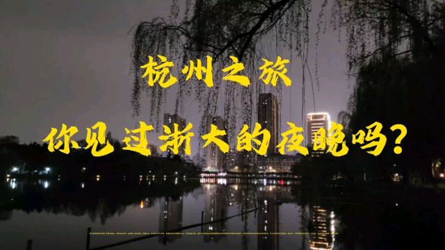 浙江大学夜晚安静而美丽,翠柳垂于湖畔,倒影如画