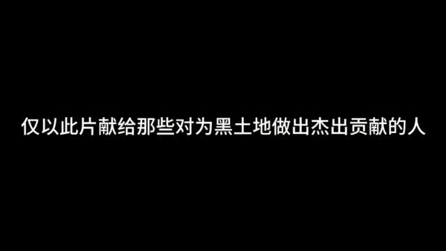 黑龙江省齐齐哈尔市甘南县鑫宏园玉米种植专业合作社理事长陈海的逐梦之路