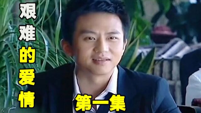 钻石王老五的艰难爱情1