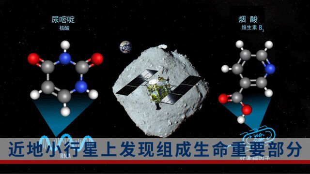 地球生命源于太空?科学家在小行星“龙宫”上发现形成RNA的基本构件之一