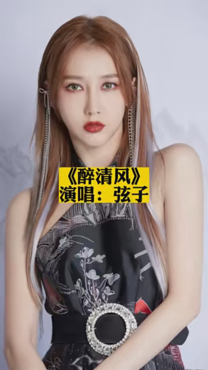 《醉清风》弦子 #音乐