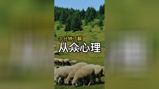 大家都考研,我也“从众心理”和大家一块考研吧