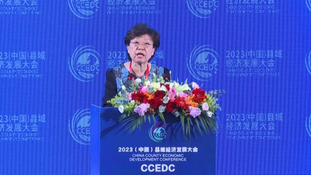 张世平在2023中国县域经济发展大会上讲话