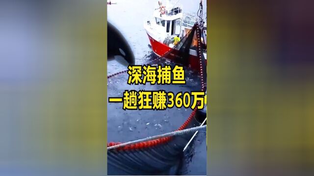 太平洋疯狂渔民,出海捕鱼15天上百万吨,一趟狂赚360万