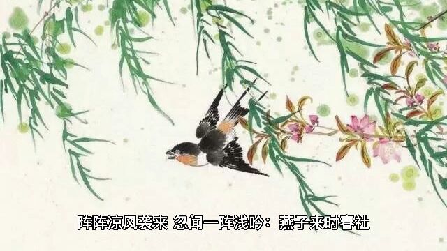 清明节寄哀思